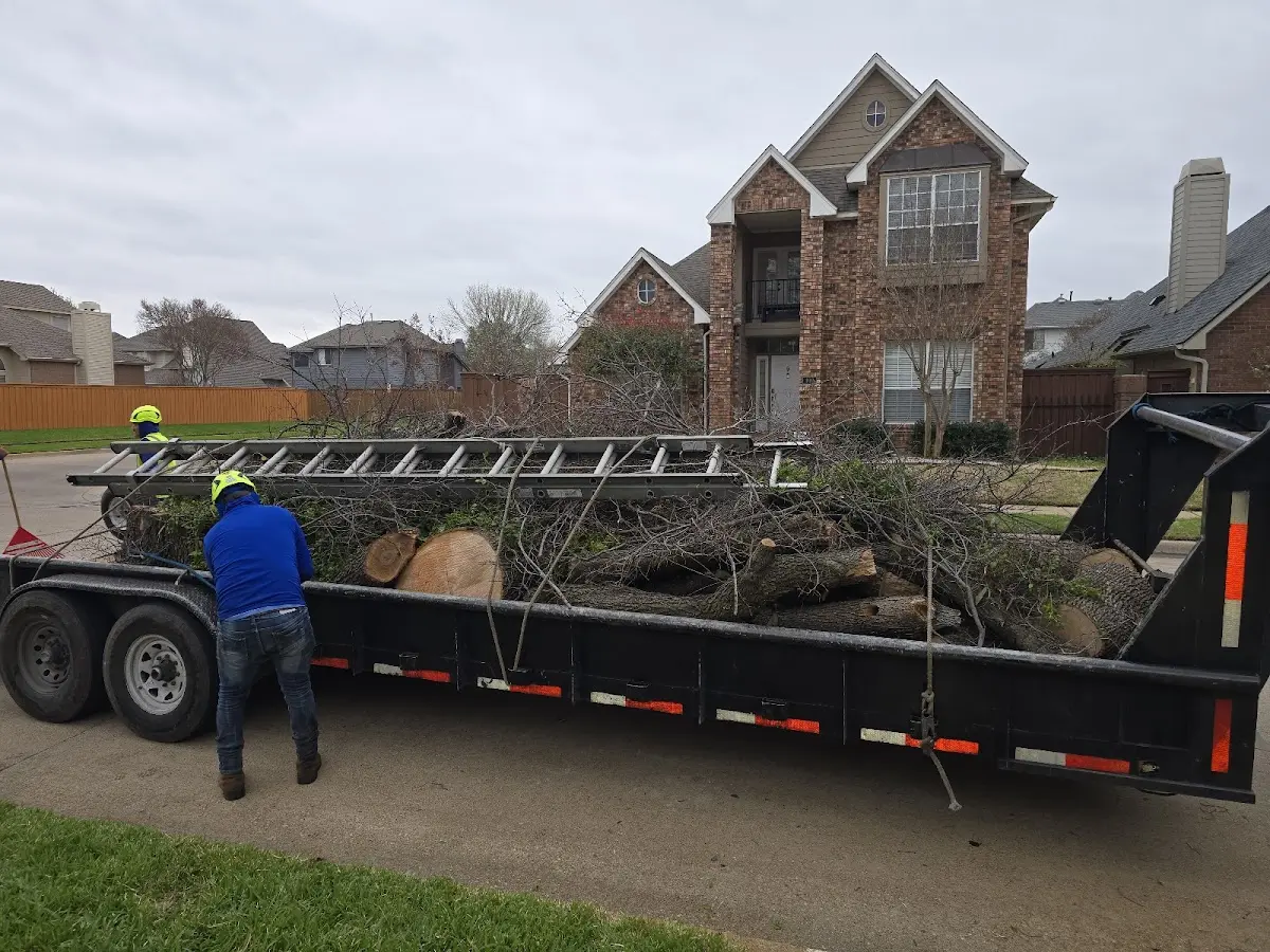 Expert Lot Clearing with proper safety equipment in Crouse